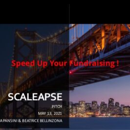 Scaleapse